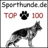 Hier geht�s zu Sporthunde.de TOP 100