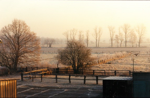 Blick aus meinen Fenster!